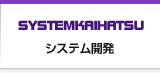 システム開発